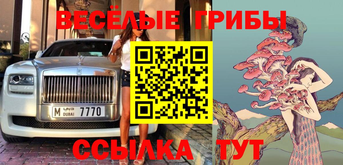Донской  цена наркотик  Вход с VPN  Псилоцибиновые грибы мицелий 