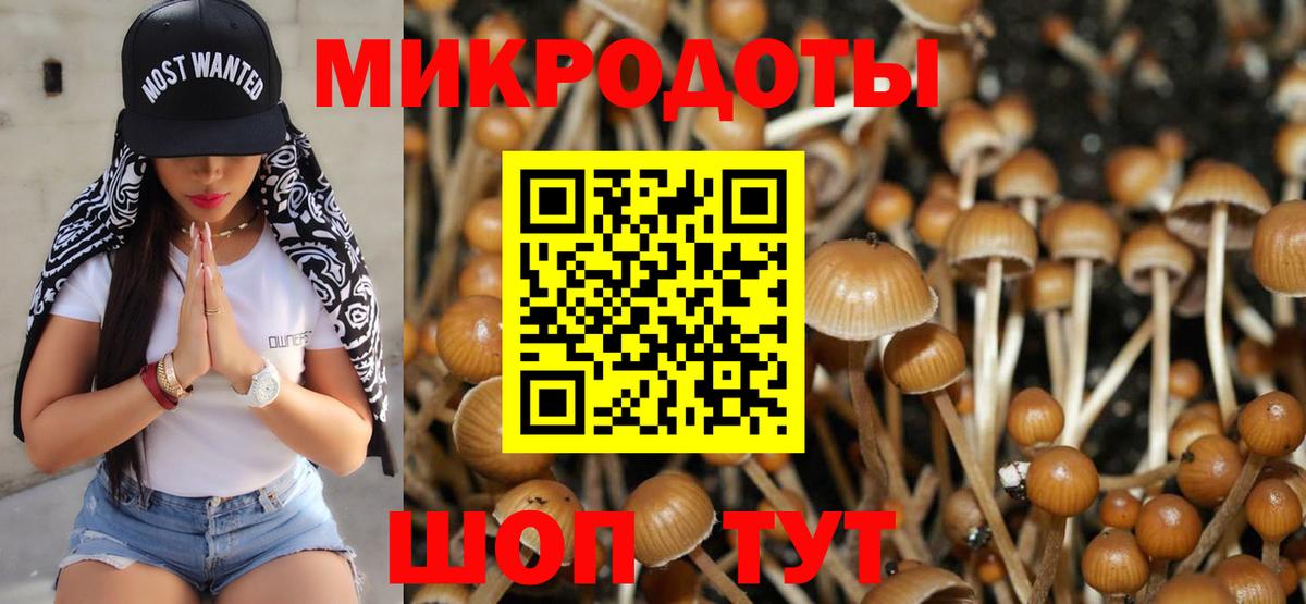 Галлюциногенные грибы мицелий Донской